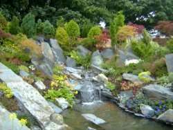 'Rock and Water Garden' show garden